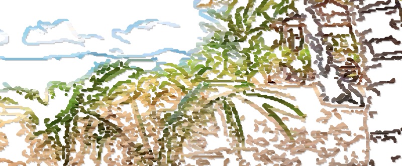 Palm art made using Vector FX