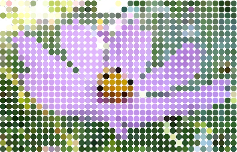 Flower art made using Vector FX